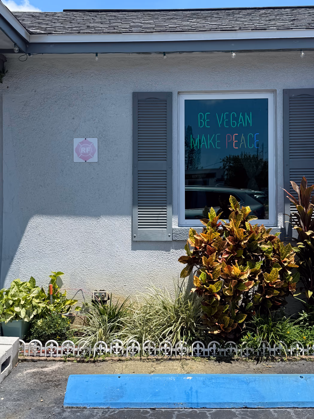 World Vegan Cuisine